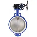 Затвор Dn.ru D050-08274 Ду40 Ру16 1 1/2" 110° чугун