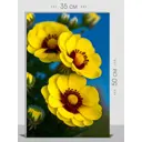 Картина на холсте First class images 102055S 50x35 см