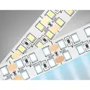 Светодиодная лента Ambrella light Gs1603 240 диод 38.4 Вт/м 12 В 19 мм IP20 5 м холодный белый (голубой) свет