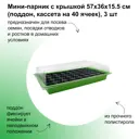 Мини-парник Лето с крышкой 3 шт 57x36x15.5 см поддон кассета на 40 ячеек