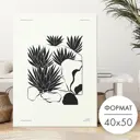 Постер 28 картин "Растения агава" 40x50 см в подарочном тубусе без рамы