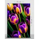 Картина на холсте First Class Images 102281 80x50 см