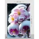 Картина на холсте First Class Images 102431M 100x60 см