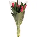 Букет из тюльпанов 5 шт.