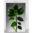 Картина на холсте First Class Images 102502 80x50 см