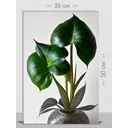 Картина на холсте First Class Images 102501S 50x35 см