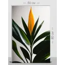 Картина на холсте First Class Images 102505 80x50 см