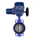 Затвор дисковый поворотный Dn.ru D050-12454 Ду40 Ру16 фланцевый чугун