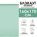 Рулонная штора Эскар 160x170 см цвет зеленый