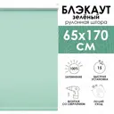 Рулонная штора Эскар 65x170 см цвет зеленый