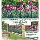 Фотосетка Мечта Сделай сам 600x158 см Розы на заборе