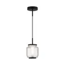 Светильник подвесной светодиодный Odeon Light 5409/5l 2 м² нейтральный белый свет цвет черный