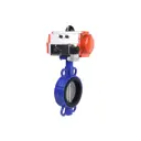 Затвор Dn.ru D050-11029 Ду40 Ру16 фланцевый чугун