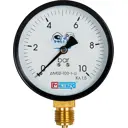 Манометр радиальный Метер 100 мм 10 бар 1/2"