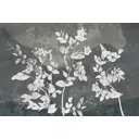 Фотообои Divino Белые стебли гороха гранж 400x270 см F-226