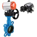 Затвор Dn.ru D050-11008 Ду200 Ру16 фланцевый чугун