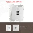 Розетка USB встраиваемая Arte milano 206.46-1.silver цвет серебро