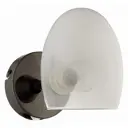 Настенный светильник Lumion Kendall 6513-1w цвет черный