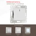 Переключатель перекрёстный Arte milano 203.35-1.silver 1 клавиша с подсветкой цвет серебро