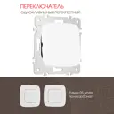 Выключатель перекрёстный встраиваемый Arte milano 205.34-1.white 1 клавиша цвет белый