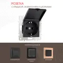 Розетка встраиваемая Arte milano 203.41-1.black с заземлением шторками и крышкой цвет черный