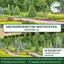 Фотосетка Мечта для декора забора Лесопарк 600x158 см