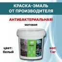 Эмаль акриловая ОБЕРЕГ PaintGuard ВД-АК-03-06 антибактериальная матовая цвет белый 1 л
