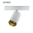 Спот поворотный Raumberg Air1wh/gd 1 лампа 1.5 м² цвет белый