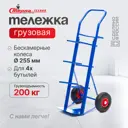 Тележка специальная Стелла-техник КДВ-55-PU1120-255-3 для воды