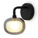 Настенный светильник Freya Shimmer Fr5435wl-01b цвет черный