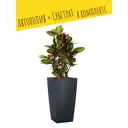 Кашпо напольное с автополивом Lechuza Cubico Color 30 13138 14 л