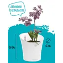 Кашпо настольное с автополивом Lechuza ORCHIDEA 13960, 1 л