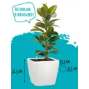 Кашпо напольное с автополивом Lechuza Quadro 35 LS 16160 17 л