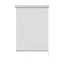 Рулонная штора Эскар Бонд 48x170 см белая