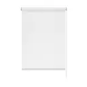 Рулонная штора Эскар Blackout Lux 52x170 см цвет белый