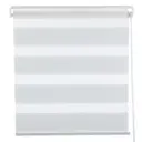 Штора рулонная день-ночь «Канзас» 50х160 см цвет белый