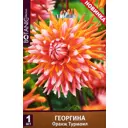 Георгина декоративная Оранж Турмоил 100 мм