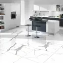 Керамогранит Primavera Salvatore PR107 60x60 см, полированный, цвет белый, цена за упаковку