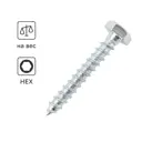 Болт сантехнический Standers 10x200 на вес