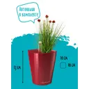 Кашпо Mini deltini Lechuza d 10 см 13 см 0.4 л abs-пластик красный с автополивом