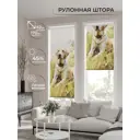Рулонная штора At home Ролиборс 62x170 см цвет бежевый/зеленый/желтый