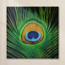 Картина без рамки Postermarket Перо павлина 30x30 см