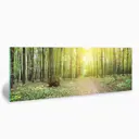 Картина без рамки Postermarket Солнечный лес 33x95 см
