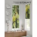 Рулонная штора At Home Катуа 52x170 см цвет разноцветный AT775008