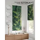 Рулонная штора At Home Онорэ 68x170 см цвет зеленый AT781764