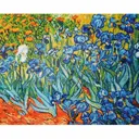 Алмазная мозаика Ирисы 50x40 см