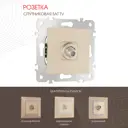 Розетка ТВ/спутник встраиваемая Arte milano 385145 цвет шампань