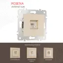 Розетка компьютерная встраиваемая Arte milano 385142 цвет шампань