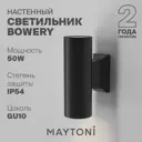 Светильник настенный уличный Maytoni O574WL-02B IP54