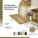 Столешница Завод невский ламинат 110x60x2.5 см Водостойкие плиты ДСП цвет дуб флагстафф
